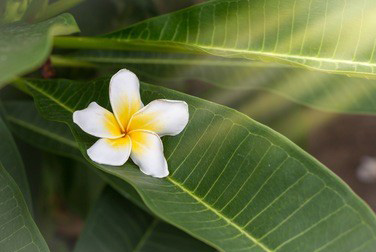 尝试一下成都丝袜按摩是一个非常聪明的选择