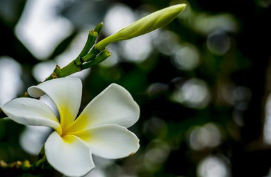 这个夏天就让我们一起来体验成都丝袜按摩吧