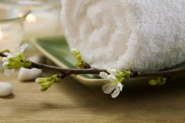 成都精油spa项目的流行并非是偶然现象