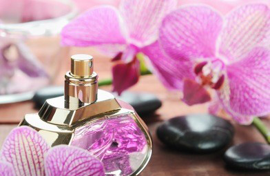 成都丝袜会所如何正确对待顾客的投诉